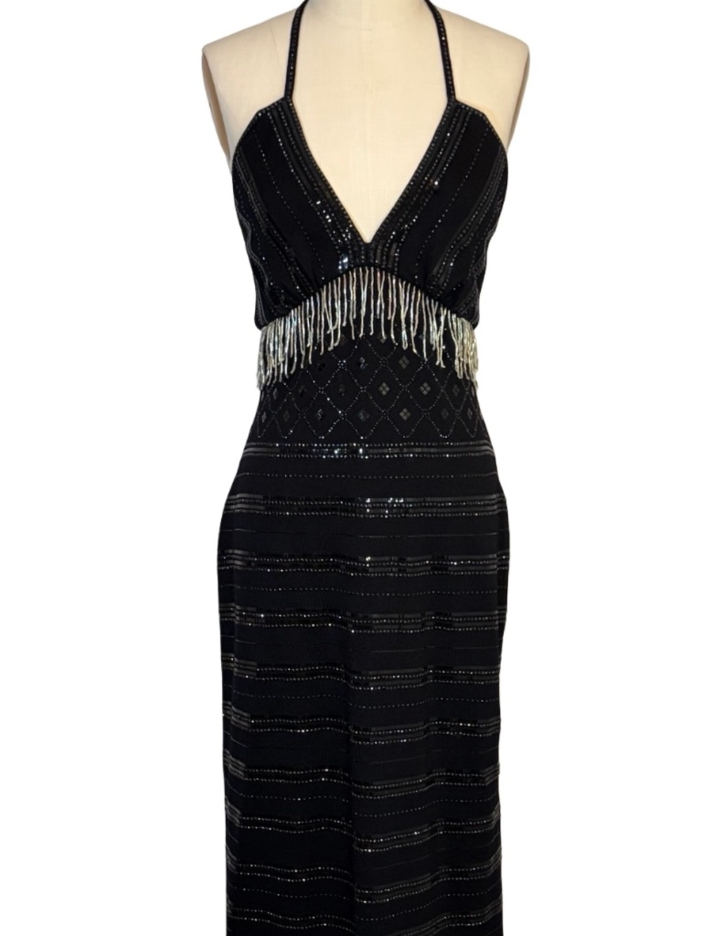 NWT St. John's Evening By Marie Gray Embellished Evening Dress Size 8 STUNNING